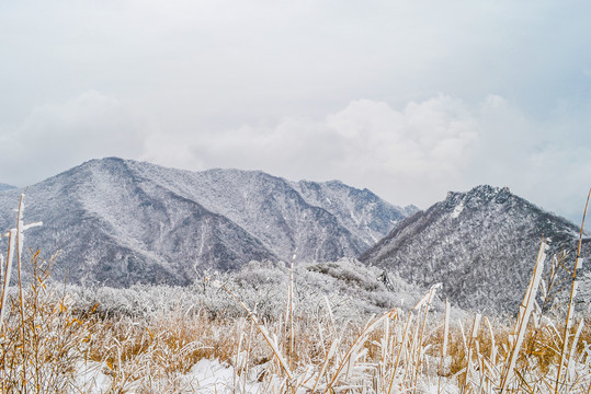 高山雪景