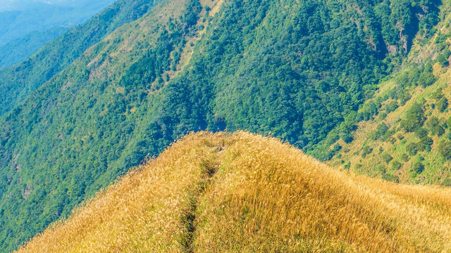 惠州大南山