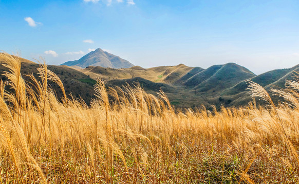 大南山