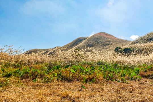 大南山