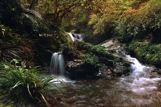 小溪流水