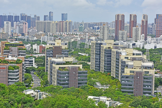 深圳宝安区新安街道建筑群