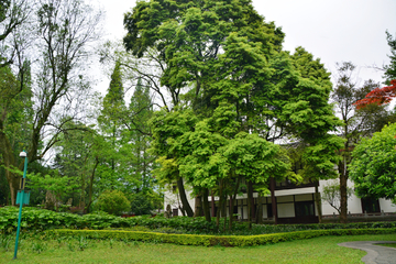 公园绿化小道风景