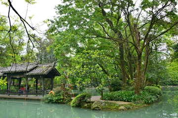 园林风景