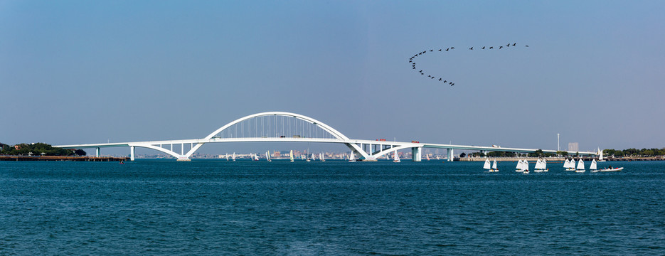 厦门五缘湾大桥全景