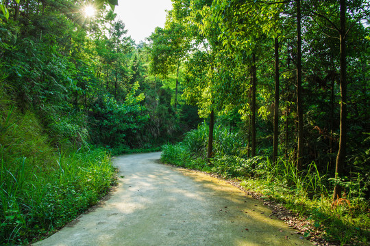 山间公路