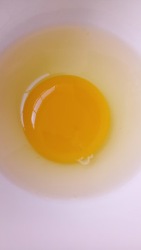 蛋清与蛋黄