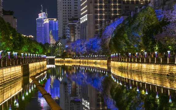 盘龙江夜景