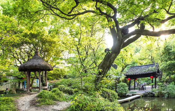 沈園