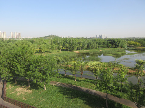 北龙湖湿地公园