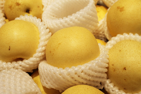 黄色水果梨子摄影