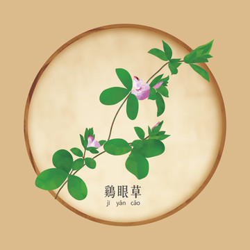 雞眼草