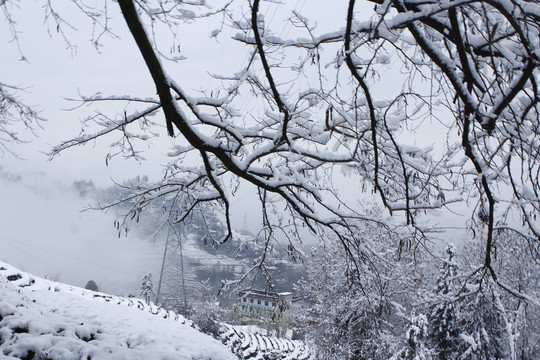 龙王垭雪景C