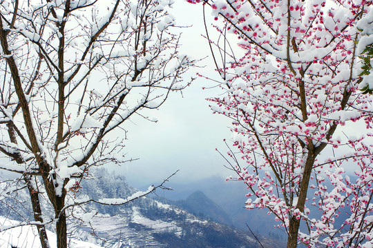 龙王垭雪景J