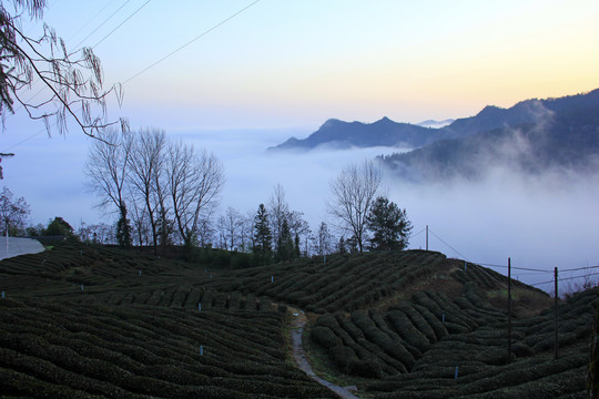 龙王垭风光E