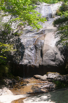 王顺山国家森林公园