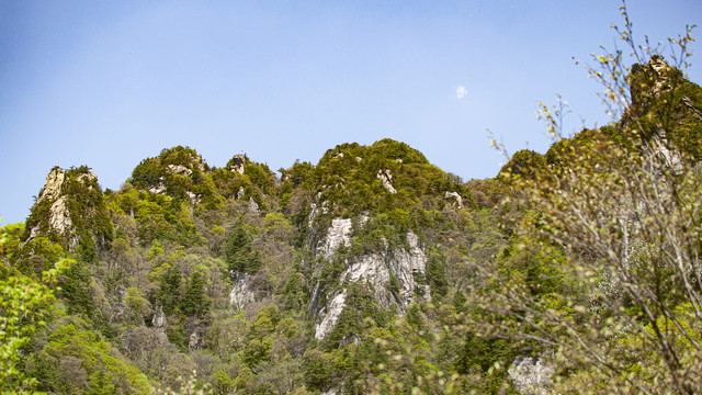 王顺山国家森林公园