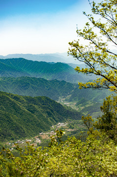 王顺山国家森林公园