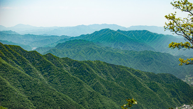 王顺山国家森林公园