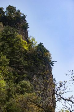 王顺山国家森林公园