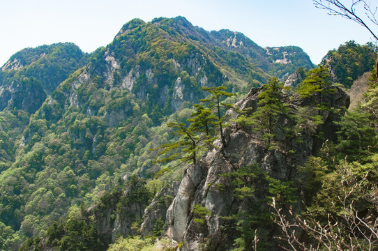 王顺山国家森林公园