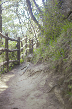 王顺山国家森林公园