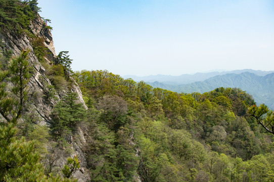 王顺山国家森林公园