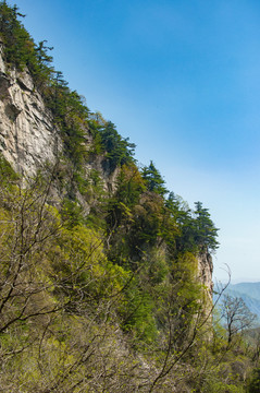 王顺山国家森林公园