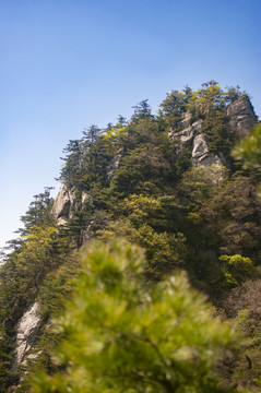 王顺山国家森林公园