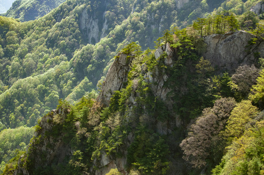 王顺山国家森林公园