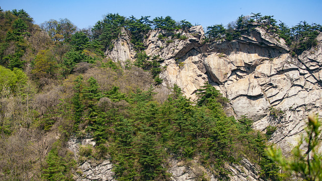 王顺山国家森林公园