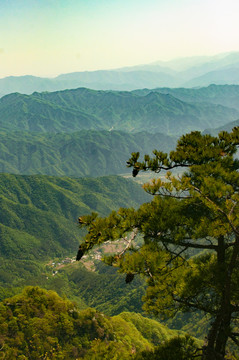 王顺山国家森林公园