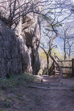 王顺山国家森林公园