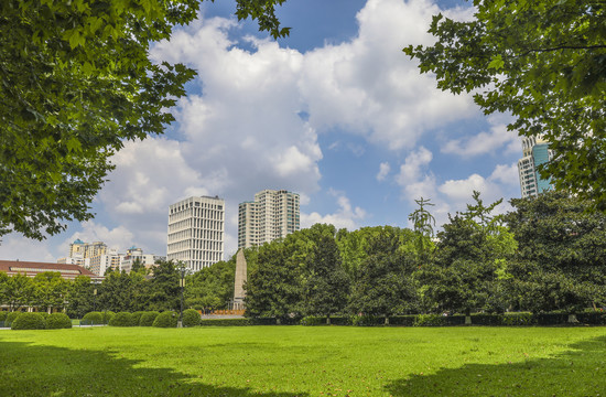 绿树成荫的大学校园大草坪