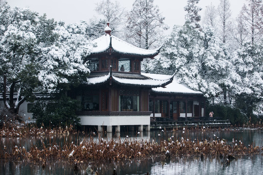 西湖雪韻