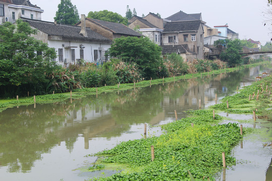 水乡河道