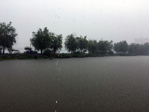 暴雨中的龙池湖