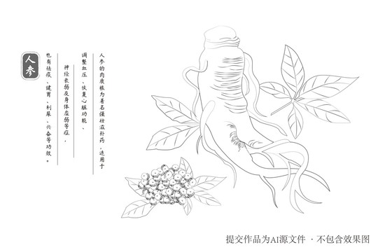 線條人參