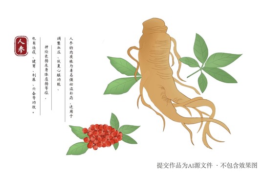 手繪人參