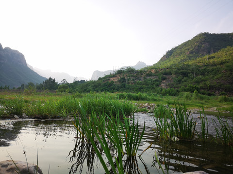 漳河湿地公园