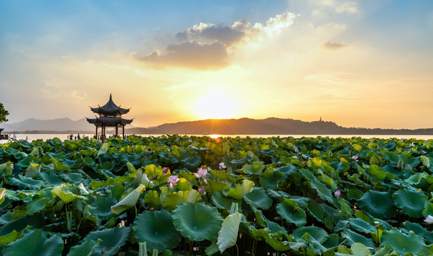 杭州西湖景区