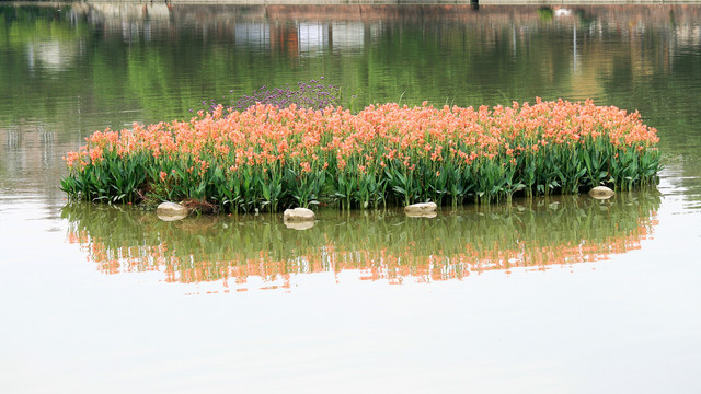 水上花园