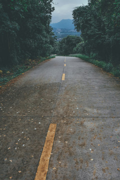 森林公路