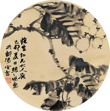 趙之謙水墨枇杷
