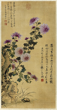 惲壽平菊花圖