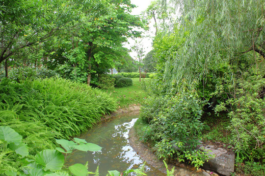 小水沟