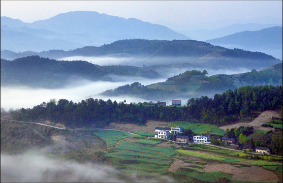 县河风光N