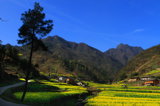 龙坝风光BN