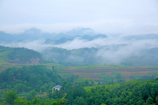 龙坝风光BW