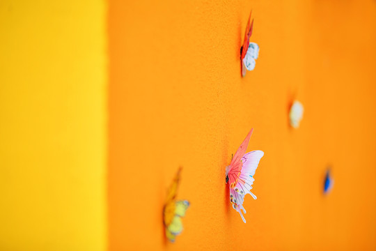 彩色墙上的蝴蝶